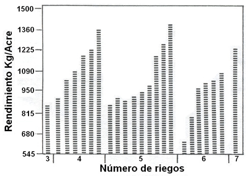 Producción de frijoles asociada al número de riegos