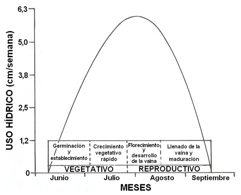 Consumo hídrico del frijol por mes