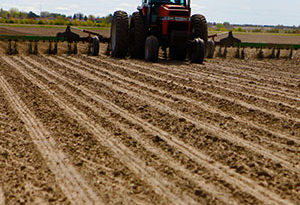 beneficios agrícolas