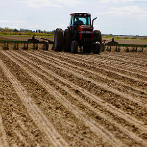 beneficios agrícolas