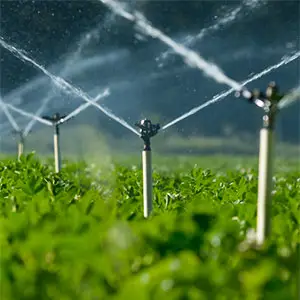 uniformidad del riego por cobertura uniformidad del riego