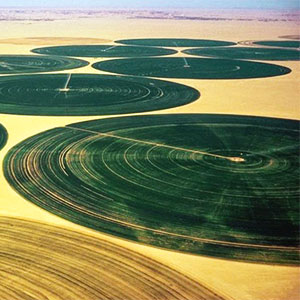 agricultura en Libia