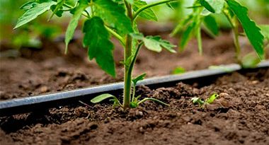 espaciamiento de emisores en horticultura